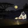 عبدالرحمن المالكي's profile picture