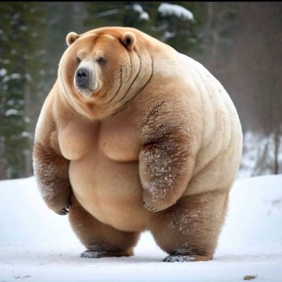 Morris's profile picture