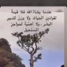 ولله في خلقه شوؤن 的头像