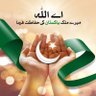 Dr. Ambreen Anjum's profile picture