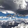 noura's profile picture