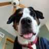 Monica's profile picture