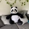 Panddii6699 profil fotoğrafı
