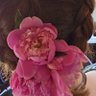 Bre Fassnacht's profile picture