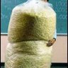 ReTweeter417's profile picture