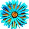 ヒロ's profile picture