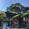 芝's profile picture