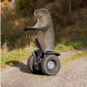 Salamin1264's profile picture