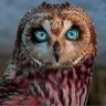 Petra.'s profile picture