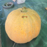細川's profile picture