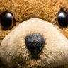 ShowtimeBear 的头像