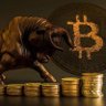 Фото профиля Crypto Bull