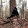 Profilbild von Ghostshenanigans