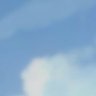 meo's profile picture