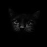 Profilbild von Jack