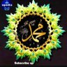 Murad Nazir's profile picture