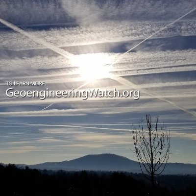 Geoengineering Watch Photo Gallery's profile picture
