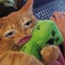 シ︎ profil fotoğrafı
