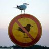 أنا profil fotoğrafı