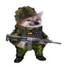 Profilbild von Gari