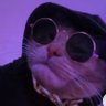 Profilbild von al