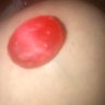 Marcia Romanoff's profile picture