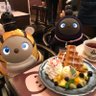 🆕きなこ&ここあ's profile picture