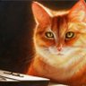 Profilbild von leemon