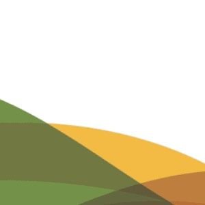 abcd13200's profile picture