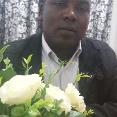 ibrahimarbab106's profile picture