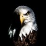 Profilbild von PSL Leaks