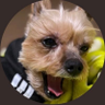 ⚽️🐢ちえの輪🐢⚽️ …🎁🌐's profile picture