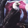 Fatih Kartal's profile picture