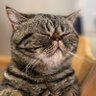 Yukky profil fotoğrafı