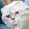 Profilbild von เมกาโน่ส้ม