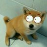 睡务局局长's profile picture
