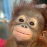 Profilbild von Rosey