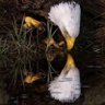 Фото профиля Richard Berger