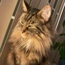 Profilbild von Kathy Hogue