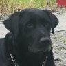 ta2 hunter profil fotoğrafı