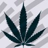 Stoned 的头像