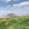 🇸🇦MBS🇸🇦A 🇸🇦 profil fotoğrafı