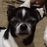 Profilbild von Dan Douglas