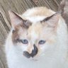 cKYbart profil fotoğrafı