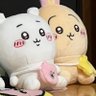 さこん 的头像