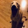Riley's profile picture