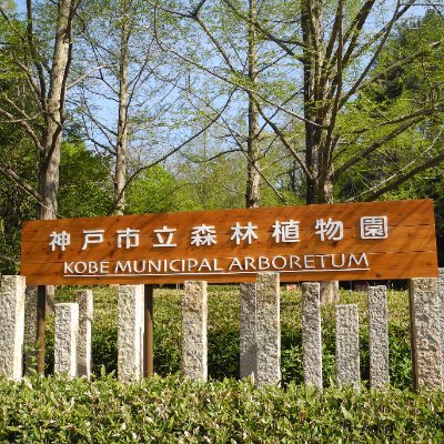 kobe_arboretum's profile picture