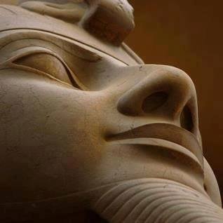 egyptomuseum's profile picture