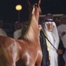 Abdulrahman 📸 的头像