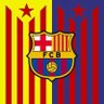 Ferran Fer Fle 的头像